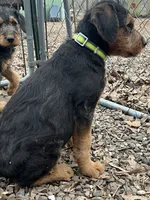 processed/51370003-22e1-4875-9c5b-7e7af9b0ff33/listing/c70fed56-d4b0-49b7-9e43-b15628b90e7b/9df86b8f-79ac-4e6b-b0a7-7469547e1d52