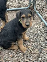 processed/51370003-22e1-4875-9c5b-7e7af9b0ff33/listing/c70fed56-d4b0-49b7-9e43-b15628b90e7b/be1ad426-ddd9-4686-ae18-5e1ffe6a08e6