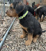 processed/51370003-22e1-4875-9c5b-7e7af9b0ff33/listing/c70fed56-d4b0-49b7-9e43-b15628b90e7b/ef4be104-4e87-4d2d-902a-45801dfd0591