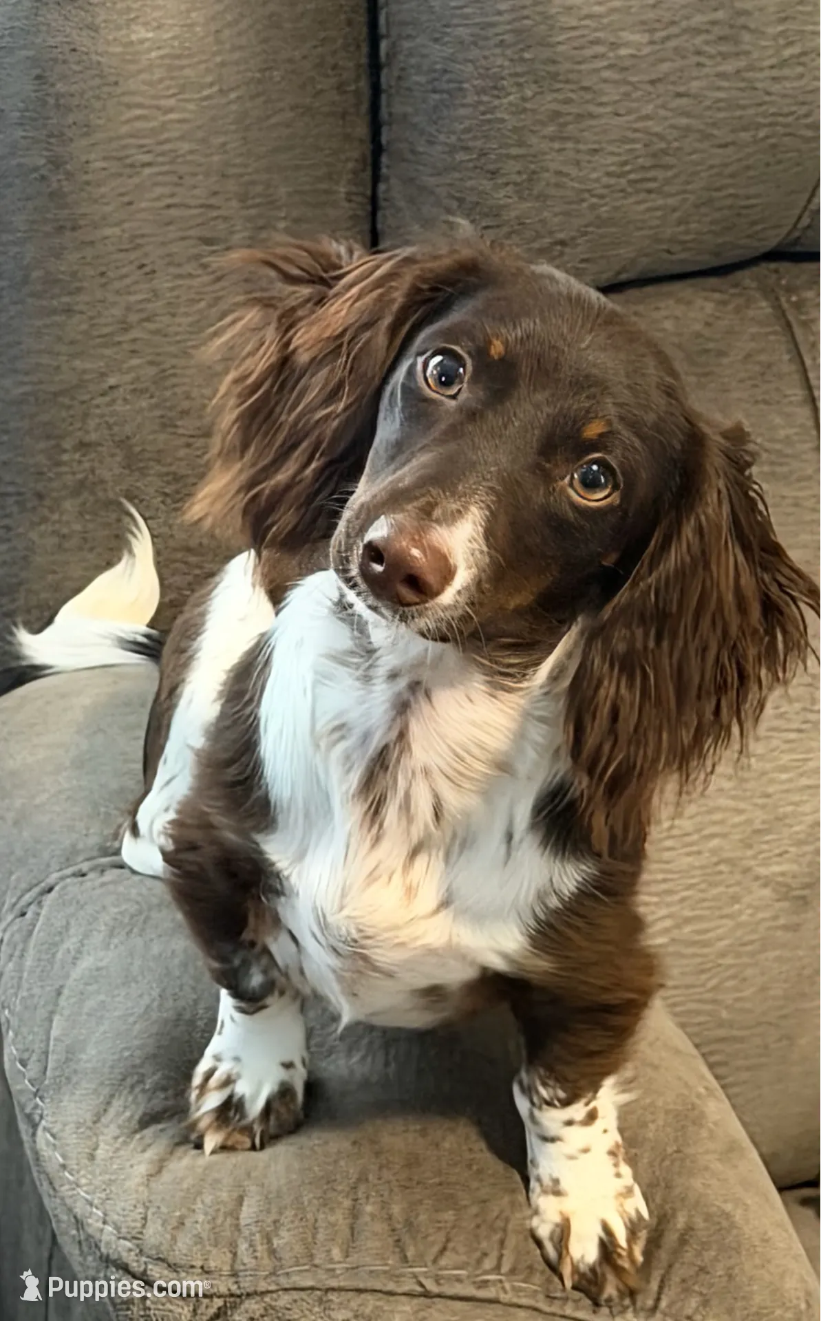 processed/513e46ab-63d6-43c4-94f5-7ad27e98b51c/facility/463a7c67-347f-4289-ab65-1b80e3efd2f3