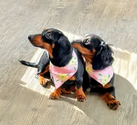 processed/513e46ab-63d6-43c4-94f5-7ad27e98b51c/facility/8c04db01-10d5-4ad9-b56a-64ea308fb206