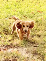 processed/513e46ab-63d6-43c4-94f5-7ad27e98b51c/facility/96f8a552-13a9-4016-bfb0-ee05c54683c6