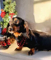 processed/513e46ab-63d6-43c4-94f5-7ad27e98b51c/facility/a5870a8f-a378-41f1-b14c-9aa655c0ca34