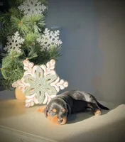 processed/513e46ab-63d6-43c4-94f5-7ad27e98b51c/facility/c8f53d80-8a7f-4d7c-b414-483e9ab611d9