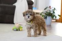 processed/5144f53d-52dc-4ccf-981e-7a4abe87bcef/listing/35b89344-1993-46f3-bd9e-b7cef256b36f/1192a173-06b6-4eb2-a281-55b1983197b2