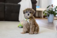 processed/5144f53d-52dc-4ccf-981e-7a4abe87bcef/listing/35b89344-1993-46f3-bd9e-b7cef256b36f/629034a1-8507-4621-9d89-9ee438dd551a