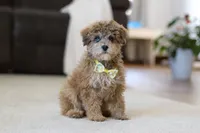 processed/5144f53d-52dc-4ccf-981e-7a4abe87bcef/listing/35b89344-1993-46f3-bd9e-b7cef256b36f/7d1e6dd5-e972-4f00-8be5-e9163f765476