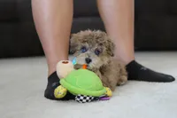 processed/5144f53d-52dc-4ccf-981e-7a4abe87bcef/listing/35b89344-1993-46f3-bd9e-b7cef256b36f/935ed171-df5b-4272-aac7-fd8f9fdf8285