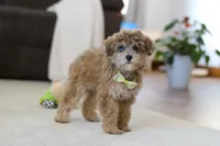 processed/5144f53d-52dc-4ccf-981e-7a4abe87bcef/listing/35b89344-1993-46f3-bd9e-b7cef256b36f/ab168af1-2436-440a-873e-dfc59cbf3590