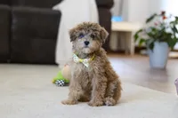 processed/5144f53d-52dc-4ccf-981e-7a4abe87bcef/listing/35b89344-1993-46f3-bd9e-b7cef256b36f/c062f65d-a392-4b9e-9eae-4e3d17905bbc