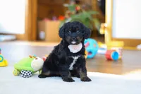 processed/5144f53d-52dc-4ccf-981e-7a4abe87bcef/listing/48cf44b6-3b8f-4042-b548-d09db7fa9bce/ad05cf1f-9d00-4217-826a-c57aff160e05