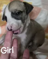 processed/5159d187-9c95-434b-9e05-1c72105c8ae2/listing/1049667c-b5df-4594-a10b-2358c9ced43e/3a9d89da-0f94-4bb6-a8e4-3fe265d0fb95