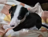 processed/5159d187-9c95-434b-9e05-1c72105c8ae2/listing/2541cfa5-8928-4c55-aa11-060a913e0b97/1e189ac1-adad-4769-8169-d2d31edfc009