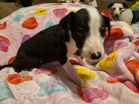 processed/5159d187-9c95-434b-9e05-1c72105c8ae2/listing/2541cfa5-8928-4c55-aa11-060a913e0b97/da9f806d-6c2c-4ed8-84f1-4309acb36e28