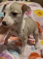 processed/5159d187-9c95-434b-9e05-1c72105c8ae2/listing/7e6005e2-e029-47df-b10c-04ea77fc081b/524eb112-01c4-4b43-9343-f2907e26a582