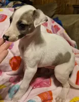 processed/5159d187-9c95-434b-9e05-1c72105c8ae2/listing/8884693d-c263-41c2-961d-6e2d3d67386c/66affb98-e8f1-4ea3-911f-a87dda9e2bbb