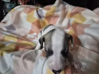 processed/5159d187-9c95-434b-9e05-1c72105c8ae2/listing/8884693d-c263-41c2-961d-6e2d3d67386c/9403f917-3f72-4486-aaeb-a880d9d8d3f1