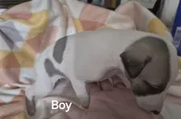 processed/5159d187-9c95-434b-9e05-1c72105c8ae2/listing/8884693d-c263-41c2-961d-6e2d3d67386c/98e9be47-29eb-4e89-b29d-6fe37a0bb341