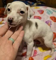 processed/5159d187-9c95-434b-9e05-1c72105c8ae2/listing/954e250d-4a44-459a-a4c3-41e4262f0d5d/1ad2fb9c-4ea1-4efd-a583-be6b08556768