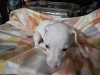 processed/5159d187-9c95-434b-9e05-1c72105c8ae2/listing/954e250d-4a44-459a-a4c3-41e4262f0d5d/3dcf006f-2808-4e90-ba52-749781208337