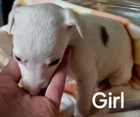 processed/5159d187-9c95-434b-9e05-1c72105c8ae2/listing/954e250d-4a44-459a-a4c3-41e4262f0d5d/ac0f3848-65a2-4dff-ba3a-afd0d1f770d5