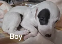 processed/5159d187-9c95-434b-9e05-1c72105c8ae2/listing/a8e46203-4d94-453c-b81d-7af0f69bd431/fbb2907f-4136-461f-b258-331fe40254a5