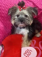 processed/51653511-c5a0-48a8-a10f-9c13a61fb74a/listing/7b09c430-41da-4ae9-99df-c6844bf9c495/b0c4793c-5558-49bf-afd3-8a2c7c2c4162