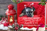 processed/51653511-c5a0-48a8-a10f-9c13a61fb74a/listing/7b09c430-41da-4ae9-99df-c6844bf9c495/e28e0e2f-a588-438a-a31d-0e4e82ae1e4a