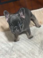 processed/516be331-5082-412f-a222-c613a7ff2ecd/listing/9d42d978-d06a-461e-a846-3c8099af4f8b/d2b3f8b8-0ee8-4406-9a04-c90ad6f41db5