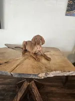 Sammy, a female Vizsla for sale in Mesa, AZ – 7 of 8