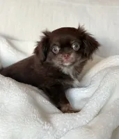 processed/517bdeeb-d775-4cfe-b9da-958fe6eab18c/listing/868fd2c1-a57c-476b-acd7-d6ae47ffee98/bddee920-f5d2-4dbb-a817-e25b65519006