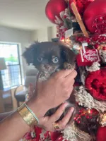 processed/517bdeeb-d775-4cfe-b9da-958fe6eab18c/listing/868fd2c1-a57c-476b-acd7-d6ae47ffee98/cf2bc417-8712-46ca-a047-ff3288528290