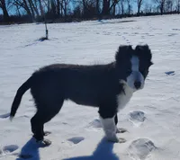 processed/517ea65b-dc8e-4fbc-93a1-ef0a2ba06102/listing/4609c639-4816-4e2d-8305-ace395227dd0/00cad20a-793f-4335-9c2f-bb4eee91e1a4