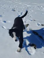 processed/517ea65b-dc8e-4fbc-93a1-ef0a2ba06102/listing/4609c639-4816-4e2d-8305-ace395227dd0/027b25c0-079e-4f82-813e-777ea29f5c1b