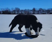 processed/517ea65b-dc8e-4fbc-93a1-ef0a2ba06102/listing/4609c639-4816-4e2d-8305-ace395227dd0/5b53dc6c-af86-44a5-af54-3c62bef5f87a