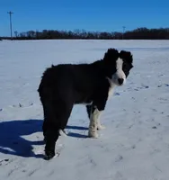 processed/517ea65b-dc8e-4fbc-93a1-ef0a2ba06102/listing/4609c639-4816-4e2d-8305-ace395227dd0/65e0c6e2-295d-4d1d-9fe3-990fc41f7a46