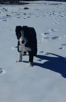 processed/517ea65b-dc8e-4fbc-93a1-ef0a2ba06102/listing/4609c639-4816-4e2d-8305-ace395227dd0/72e617d3-360e-4ee2-883d-955745da64dd