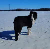 processed/517ea65b-dc8e-4fbc-93a1-ef0a2ba06102/listing/4609c639-4816-4e2d-8305-ace395227dd0/cbccdd27-adcf-4a9f-916e-01811c0eac66