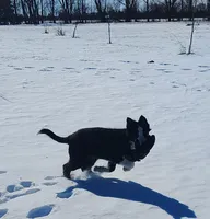 processed/517ea65b-dc8e-4fbc-93a1-ef0a2ba06102/listing/4609c639-4816-4e2d-8305-ace395227dd0/e7b13c37-6da6-4a00-aa70-54bf0e589b6a