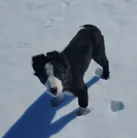 processed/517ea65b-dc8e-4fbc-93a1-ef0a2ba06102/listing/4609c639-4816-4e2d-8305-ace395227dd0/f7445c96-60e8-4a2d-9f45-a91013a2a473