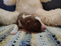 processed/517ea65b-dc8e-4fbc-93a1-ef0a2ba06102/listing/49cfd416-29d0-47d5-904b-4c92d1f16e8a/01f12e63-2127-49e6-8891-73da4423b085