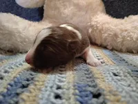 processed/517ea65b-dc8e-4fbc-93a1-ef0a2ba06102/listing/49cfd416-29d0-47d5-904b-4c92d1f16e8a/2a890552-4cd9-4f82-9212-697b8a60099d