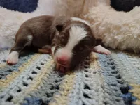 processed/517ea65b-dc8e-4fbc-93a1-ef0a2ba06102/listing/49cfd416-29d0-47d5-904b-4c92d1f16e8a/4ee81b89-e7a6-44cc-834c-465cd3438864