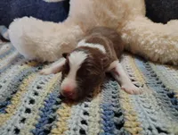 processed/517ea65b-dc8e-4fbc-93a1-ef0a2ba06102/listing/49cfd416-29d0-47d5-904b-4c92d1f16e8a/72b22770-7f71-42d0-8053-530465ece1cb