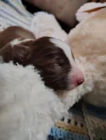 processed/517ea65b-dc8e-4fbc-93a1-ef0a2ba06102/listing/49cfd416-29d0-47d5-904b-4c92d1f16e8a/a07c944e-4e5b-4918-be29-de81d1ab9612