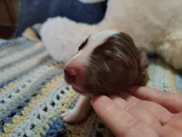 processed/517ea65b-dc8e-4fbc-93a1-ef0a2ba06102/listing/49cfd416-29d0-47d5-904b-4c92d1f16e8a/c181bef6-39cf-4cb8-b817-8b7c2d917782