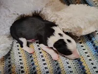 processed/517ea65b-dc8e-4fbc-93a1-ef0a2ba06102/listing/689c64d1-6036-4e15-bad3-42d380af99c2/11bc4592-0315-4faf-8269-461584afeab6