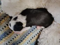 processed/517ea65b-dc8e-4fbc-93a1-ef0a2ba06102/listing/689c64d1-6036-4e15-bad3-42d380af99c2/374f7b5e-122a-4a69-bddd-5c6e6fc7ec1d