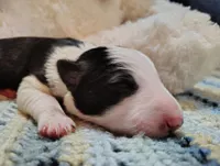 processed/517ea65b-dc8e-4fbc-93a1-ef0a2ba06102/listing/689c64d1-6036-4e15-bad3-42d380af99c2/426e9c78-3a4a-411e-81ab-e6be9c03073d