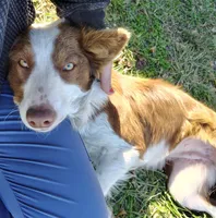 processed/517ea65b-dc8e-4fbc-93a1-ef0a2ba06102/listing/689c64d1-6036-4e15-bad3-42d380af99c2/ee0c7a4b-0e1a-4b72-8c16-c0a527e0012a